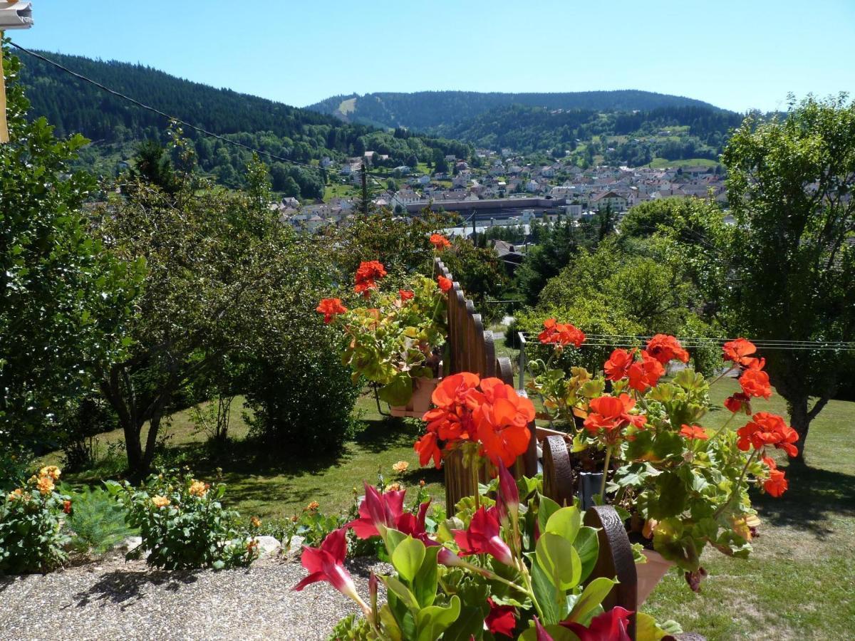 La Maison Bel'Air Gérardmer Zewnętrze zdjęcie